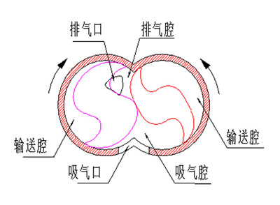 对称爪型单级干式真空泵